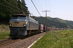 ＥＦ６６