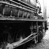 49616