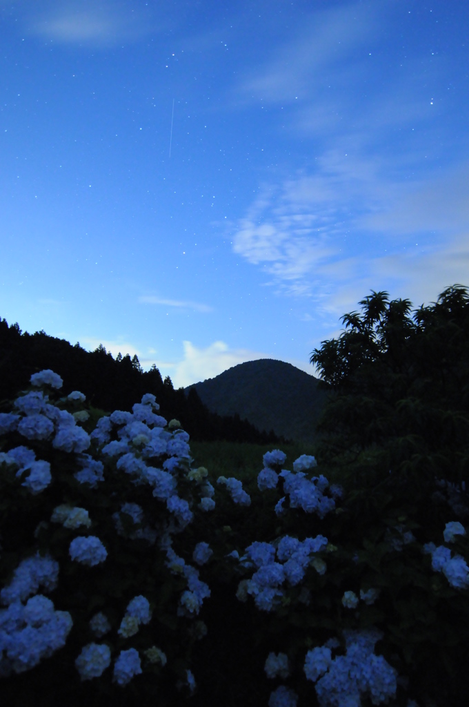 ７月７日