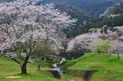 春の霞