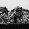 雪と・・・