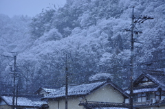 雪