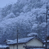 雪