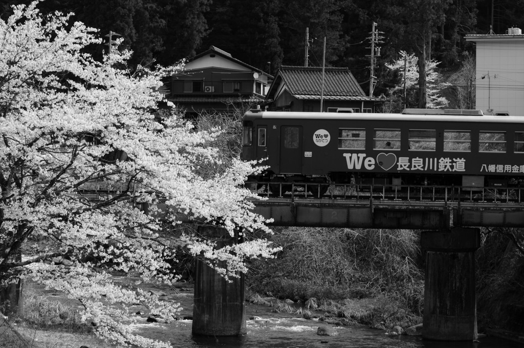 ＳＡＫＵＲＡ～旅情～ Ⅱ