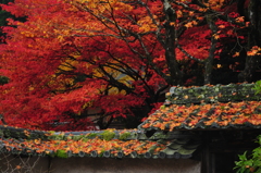 烈火