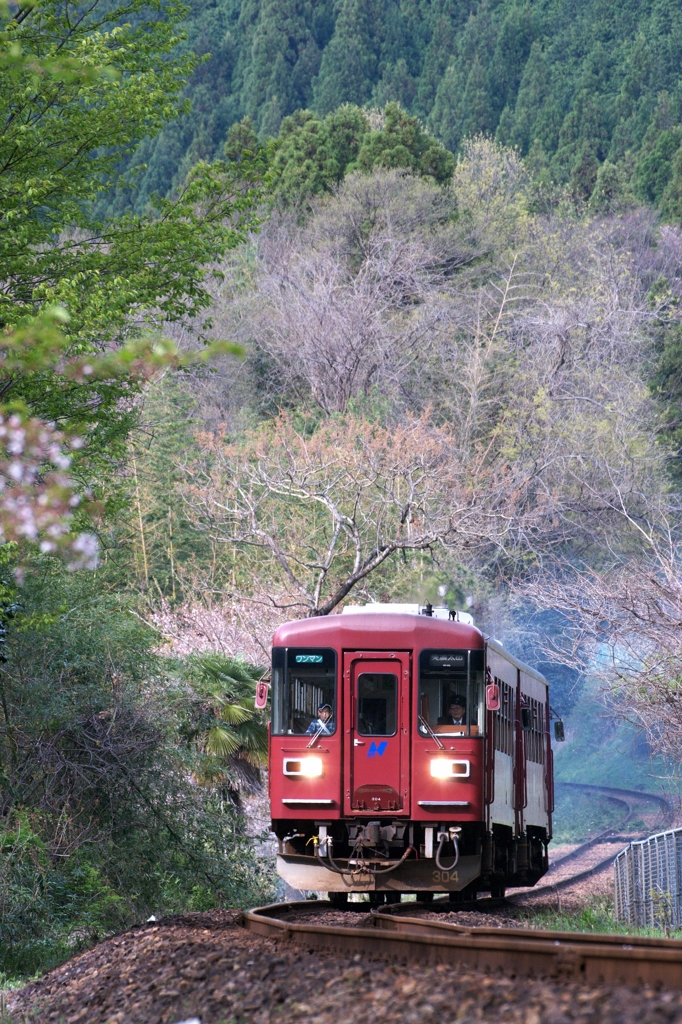 林間分けて