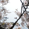 春風に吹かれて