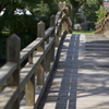 水郷柳川　橋