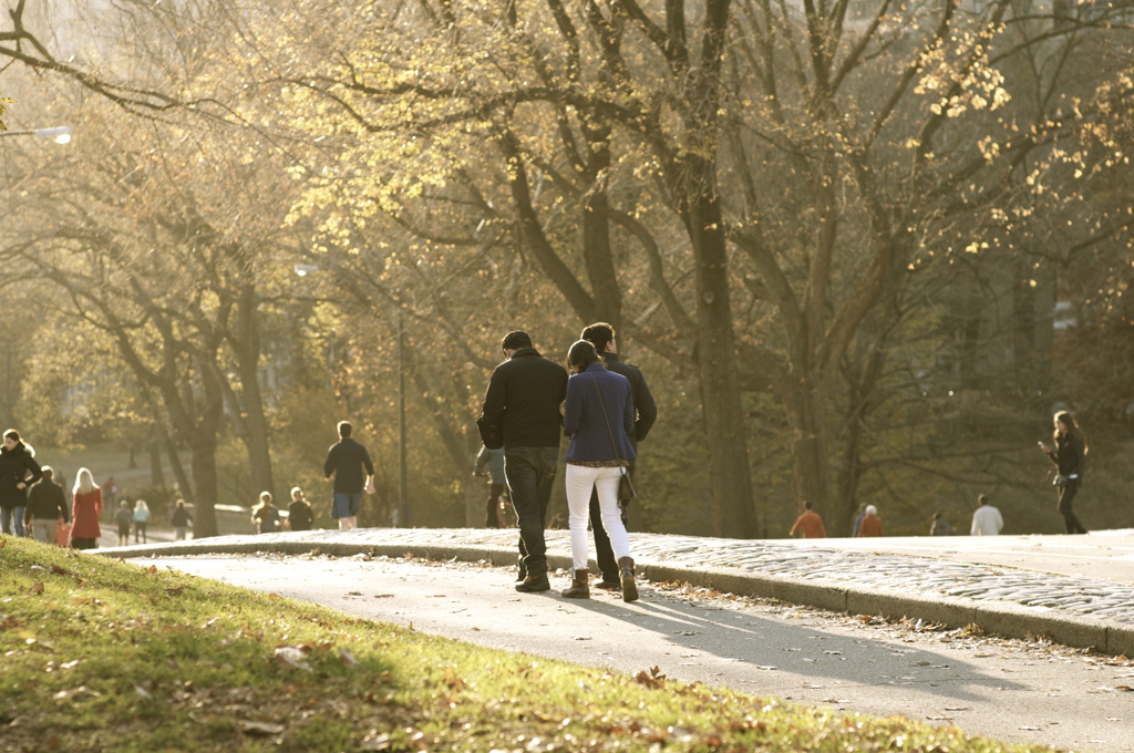 Central Park