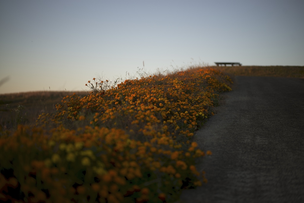 夕暮れ時