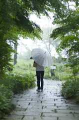 風の丘　雨