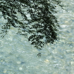 見立渓谷 清流