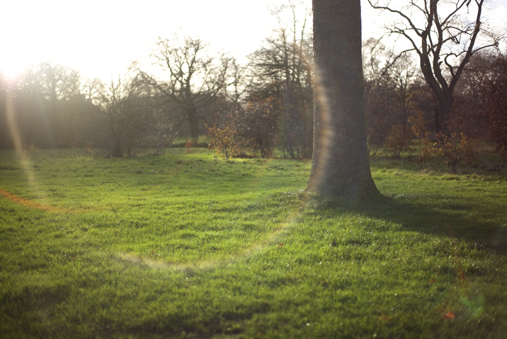 Hyde Park