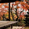 常寂光寺　