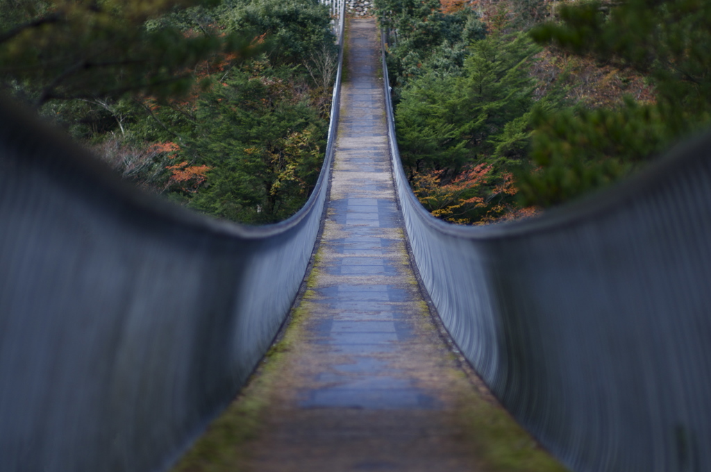 梅の木轟公園吊橋