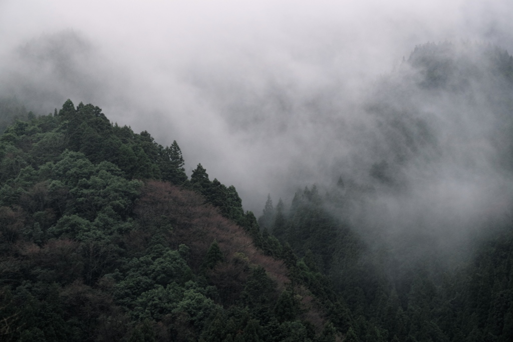 霧湧き上がる