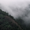 霧湧き上がる