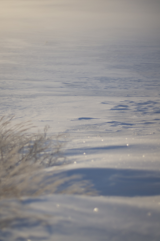 Beautiful　Snow