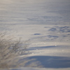 Beautiful　Snow