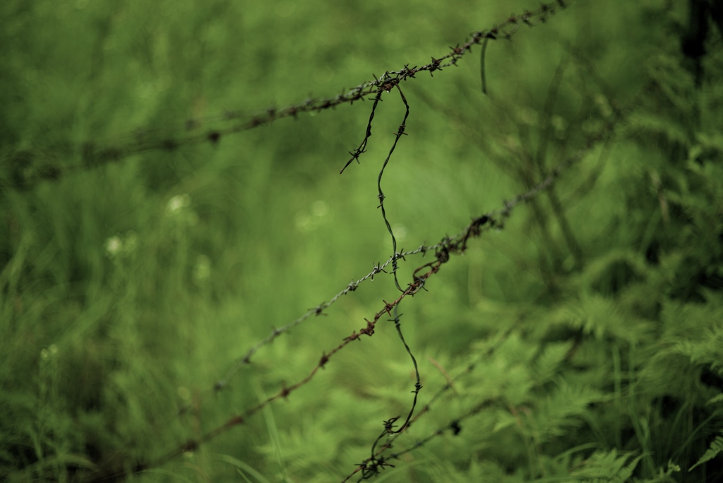 Wire