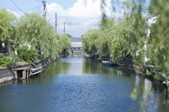 水郷柳川　夏日