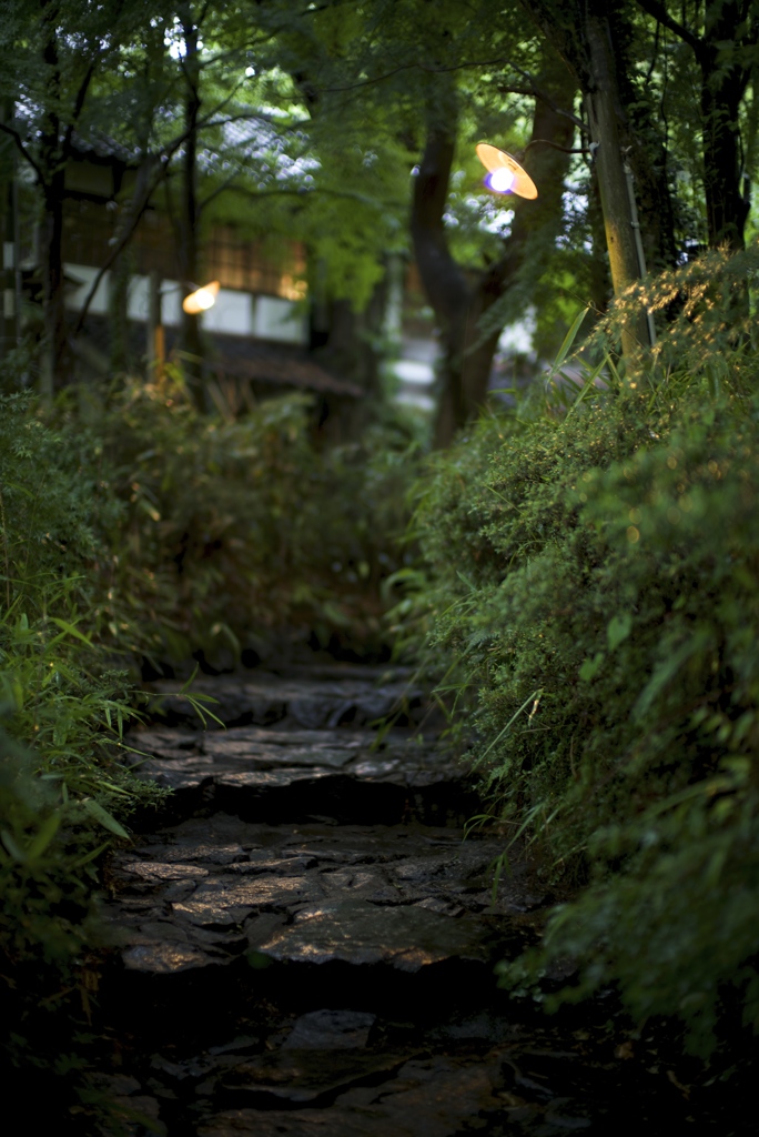 雨の石段