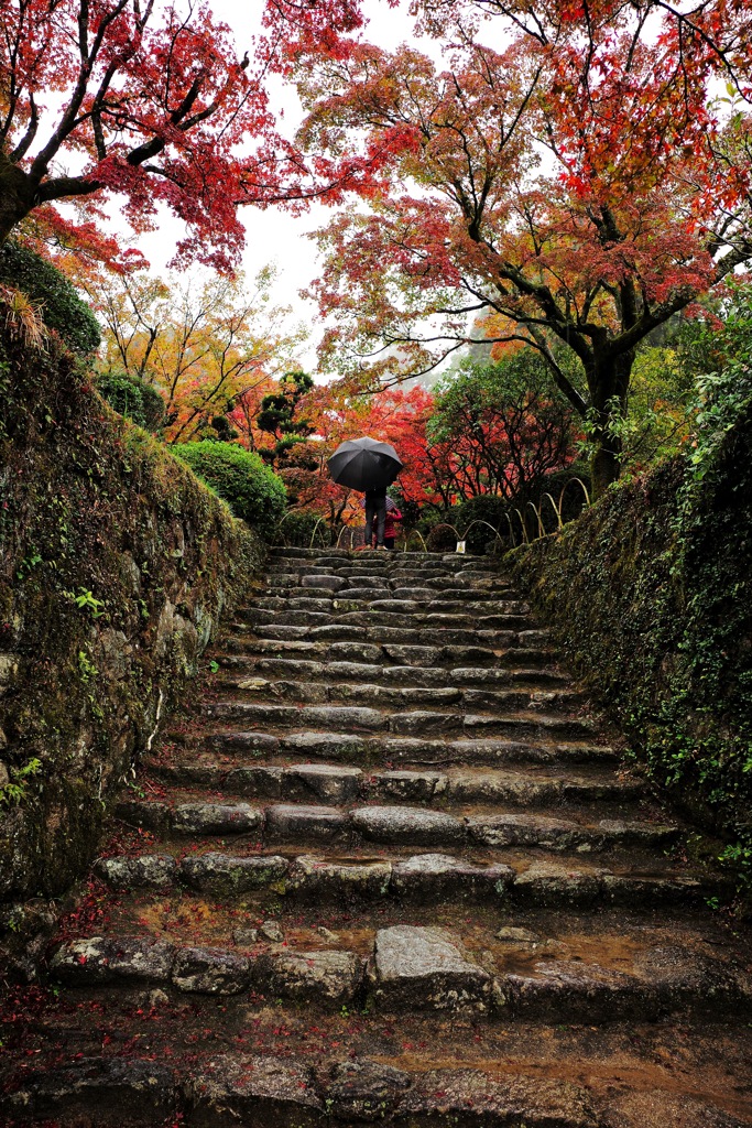 雨の石段