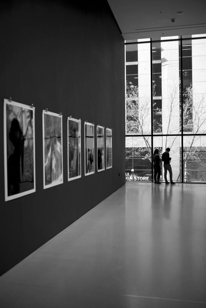 MoMa