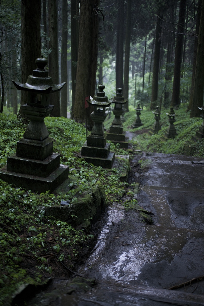 雨の参道