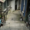 背戸屋の猫　その2