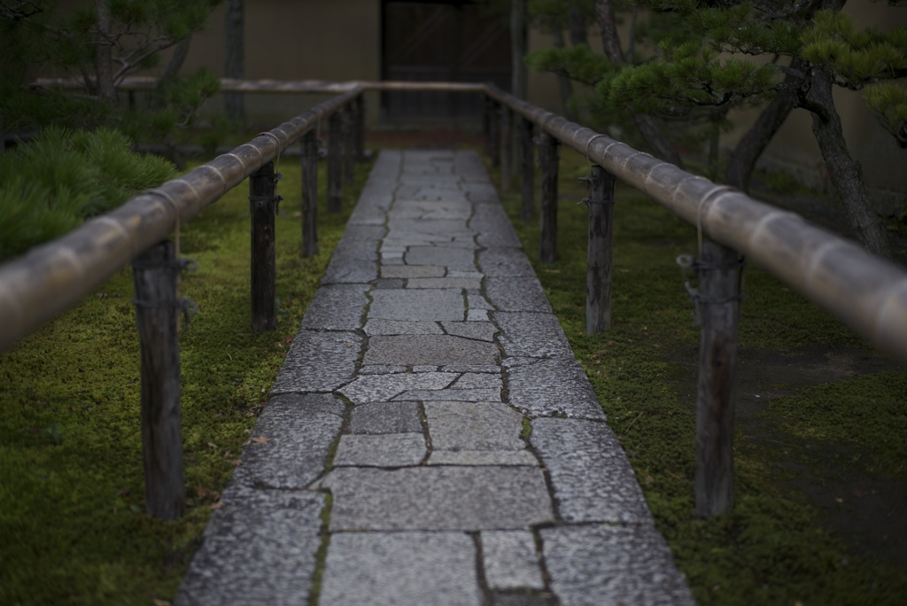 大徳寺　高桐院