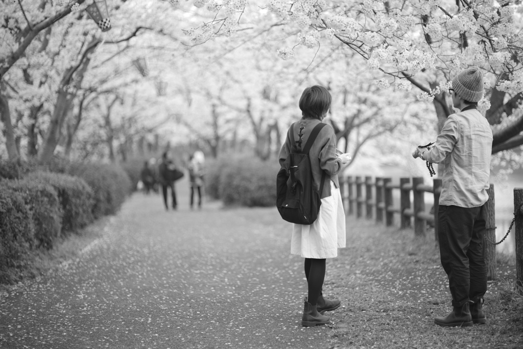 桜の木の下で