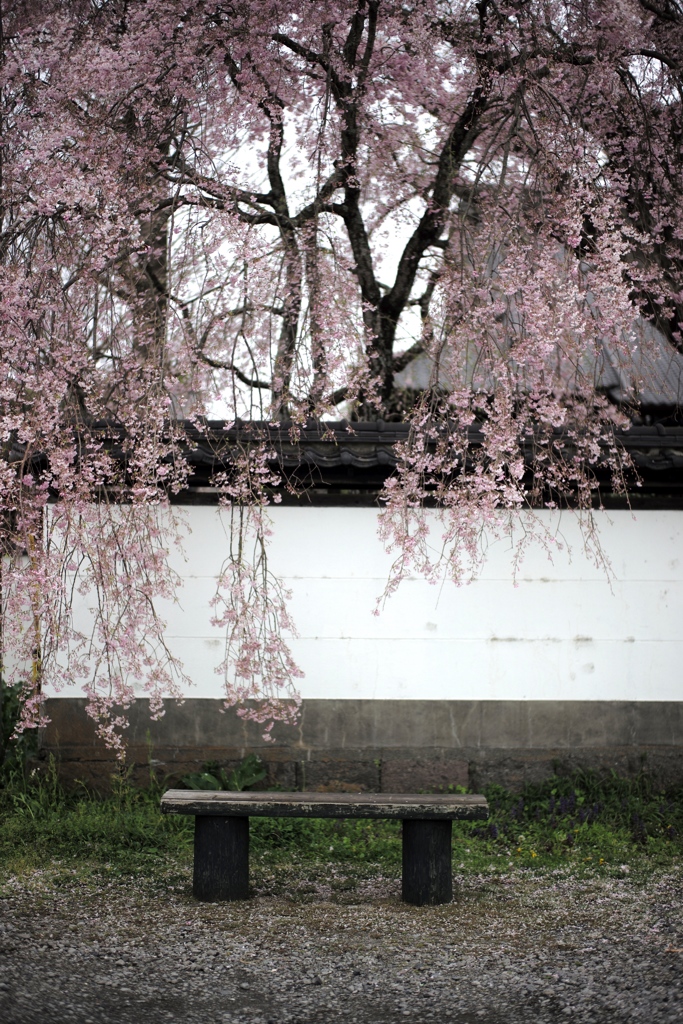 春の風景