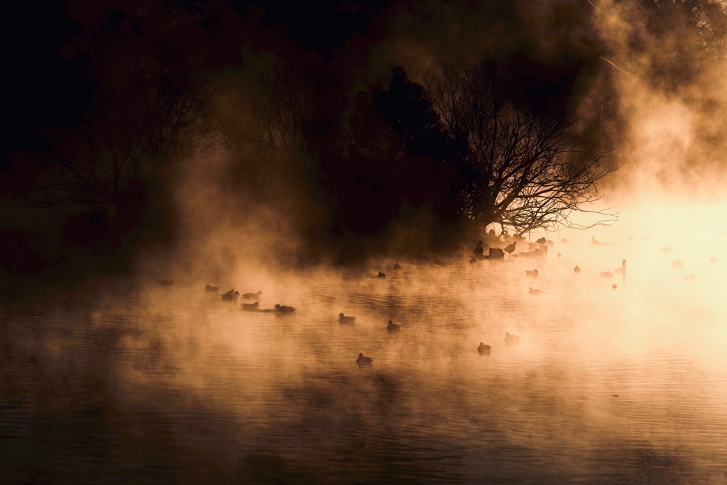 Winter morning