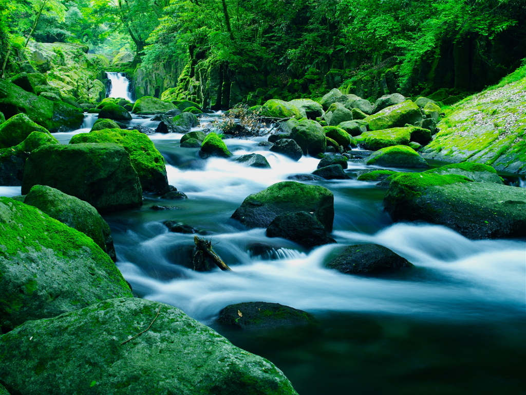五月の菊池渓谷
