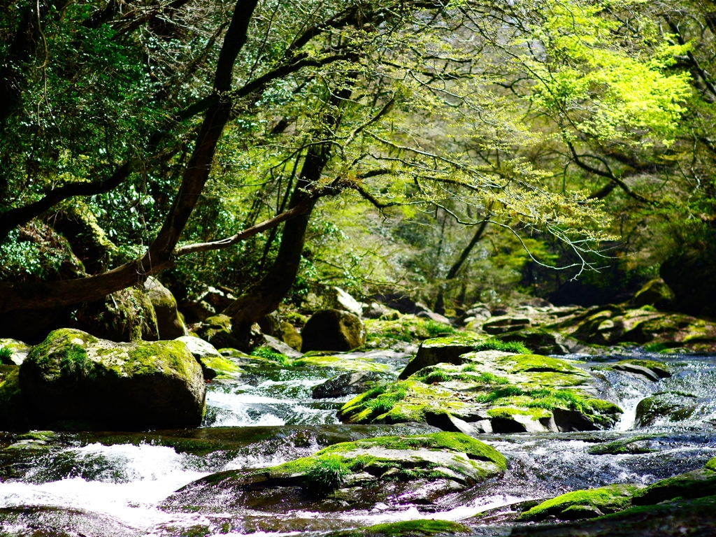 山開き一番乗り