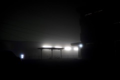  foggy night