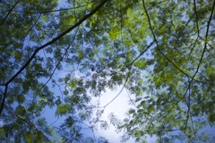 夏色