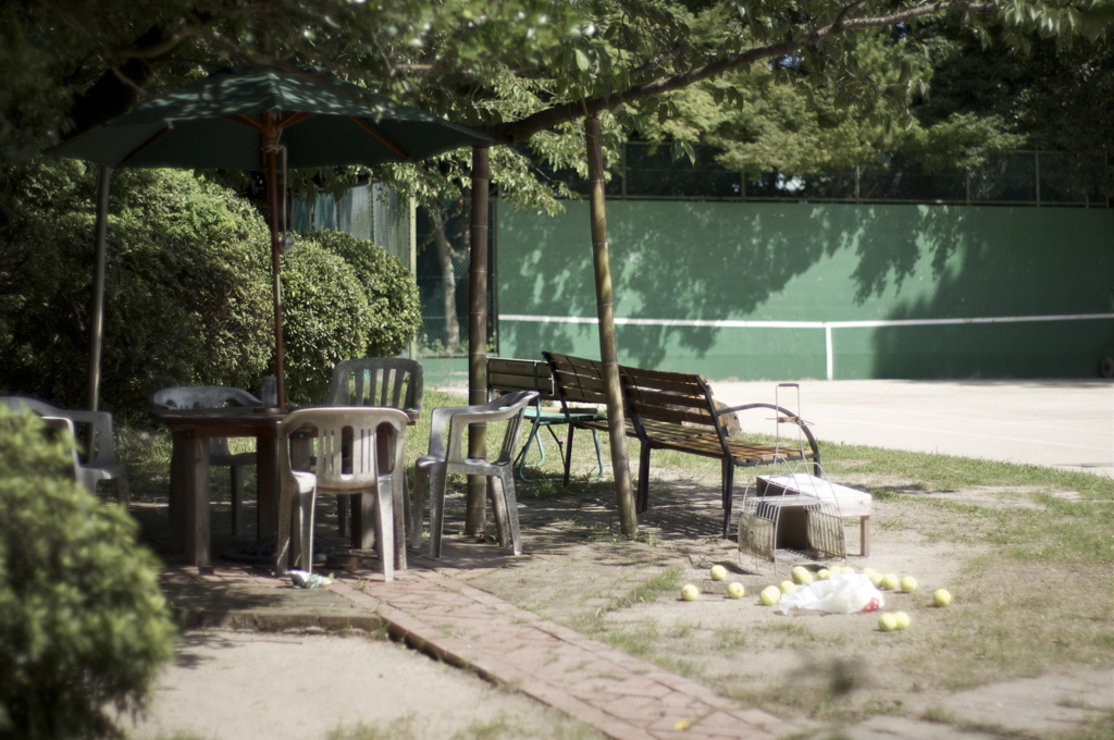 ある夏の日...