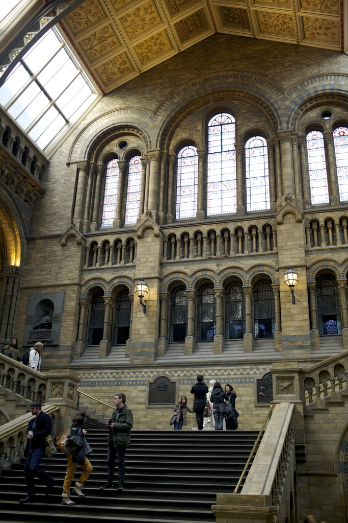 ロンドン自然史博物館