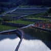 東峰村 棚田