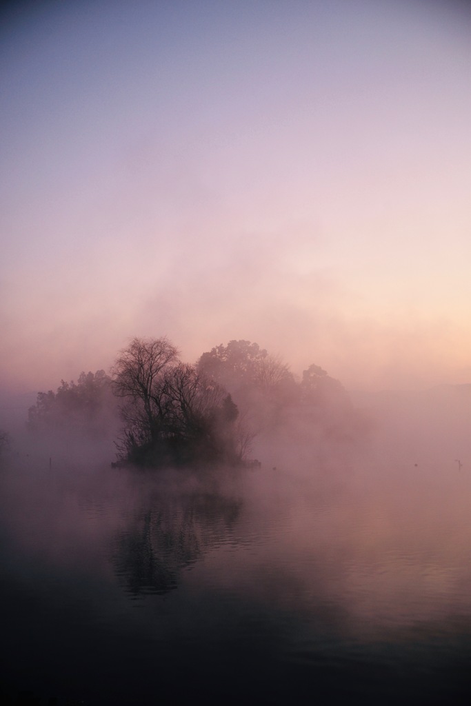Beautiful morning