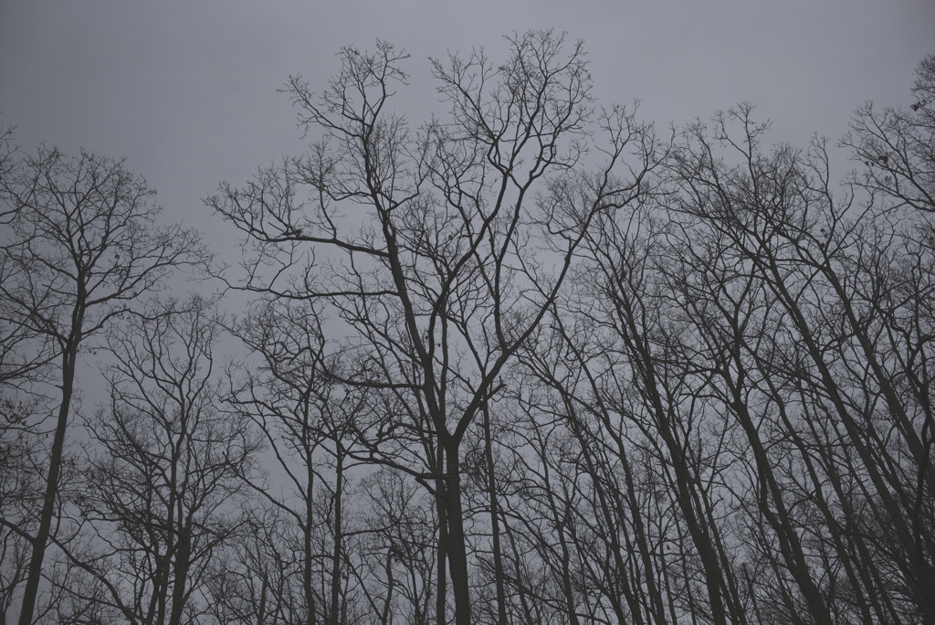 Winter color