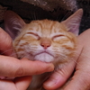 しあわせ