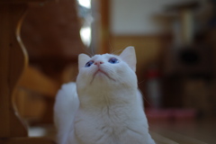 天窓の空