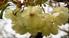 DSCN0720