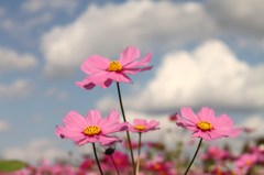 IMG_7494