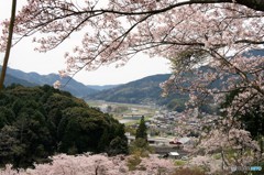 DSC04050