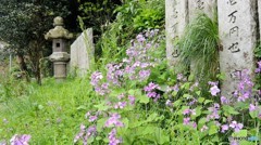 DSCN0646