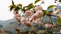 DSCN0724